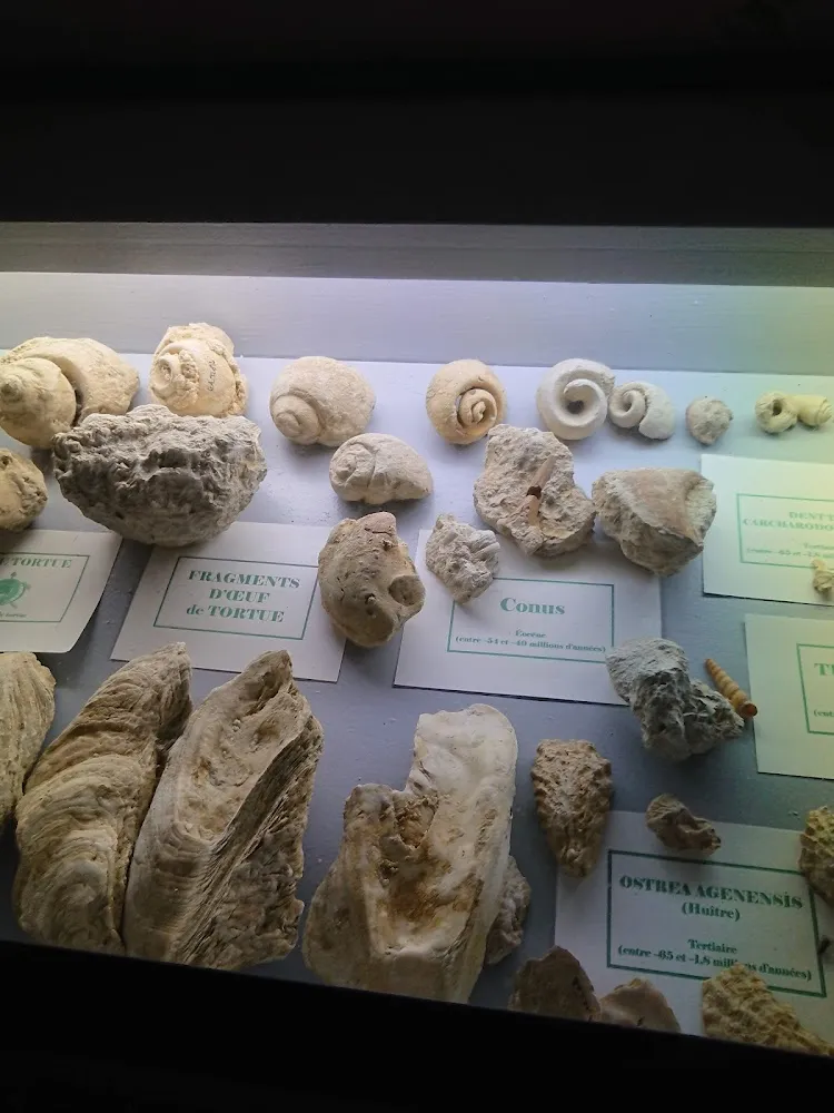 Moelleux Aux Chocolat